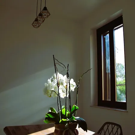 La Casa Nel Tempio Apartament Agrigento